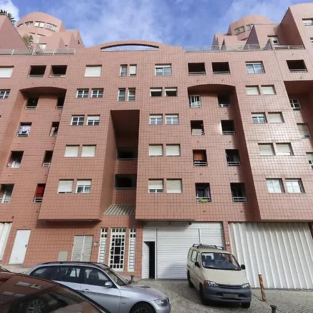 Modern Graca By Homing