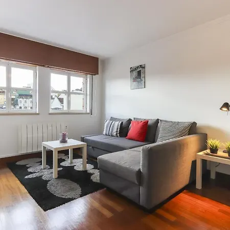 Modern Graca By Homing *