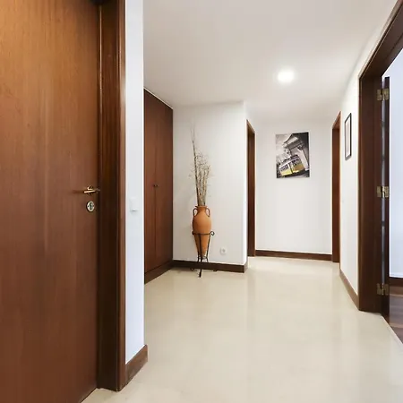 Modern Graca By Homing *